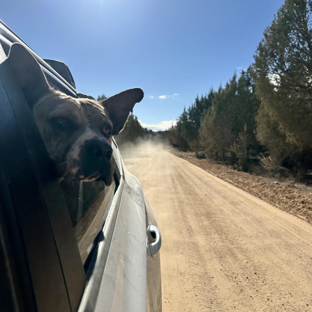 Butch — thumbnail 4