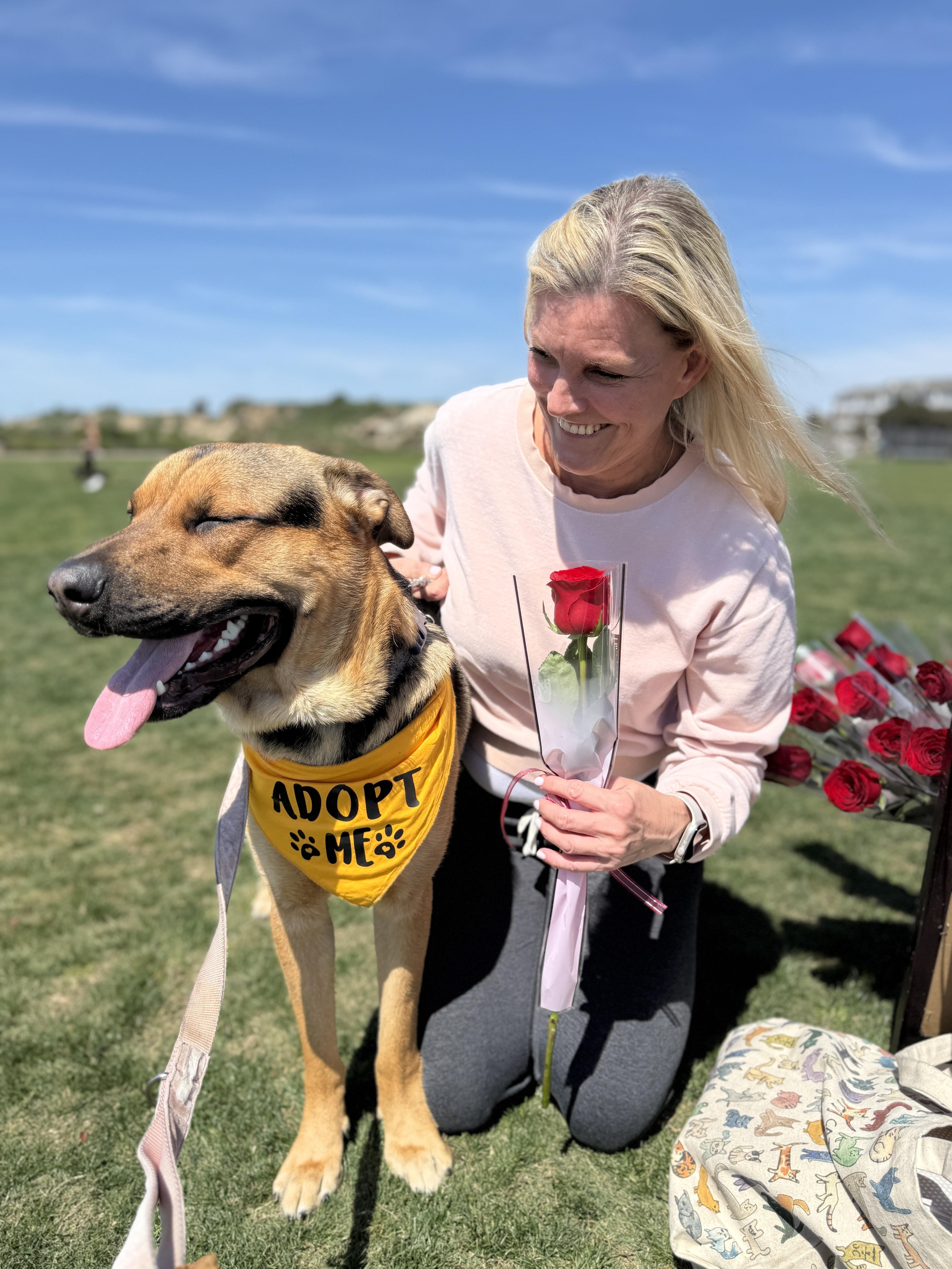 Enlarge Buddy, a Adoptable mixed breed in Los Angeles, CA image 4/5