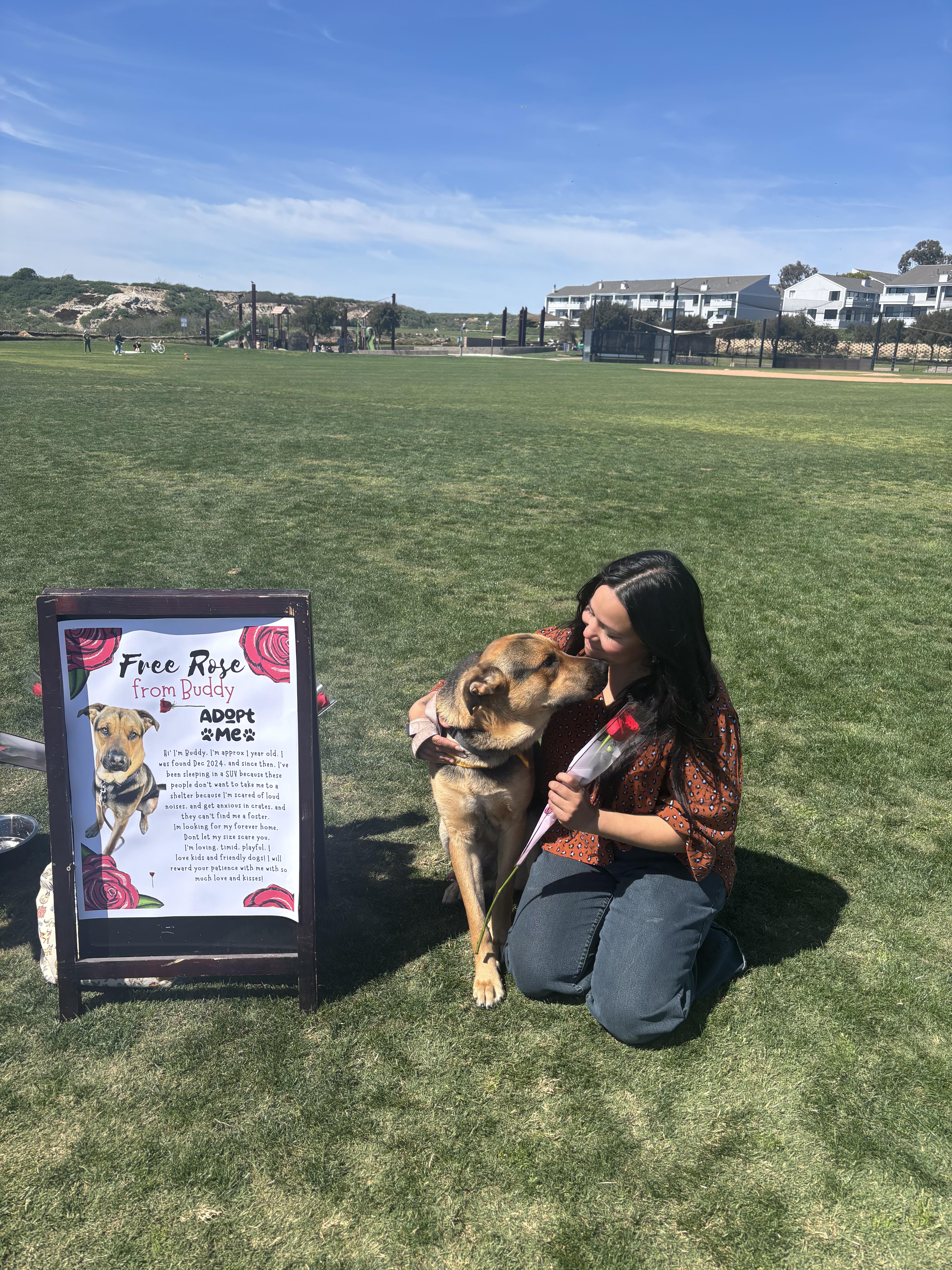 Enlarge Buddy, a Adoptable mixed breed in Los Angeles, CA image 5/5