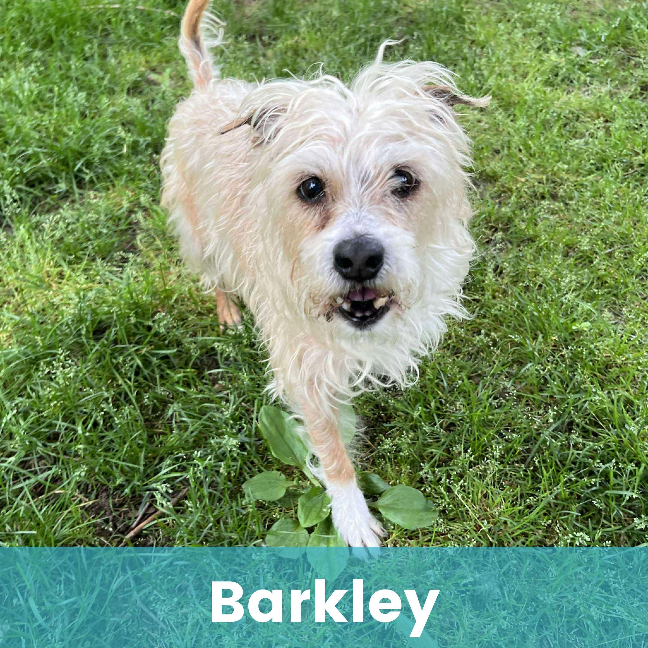 Barkley