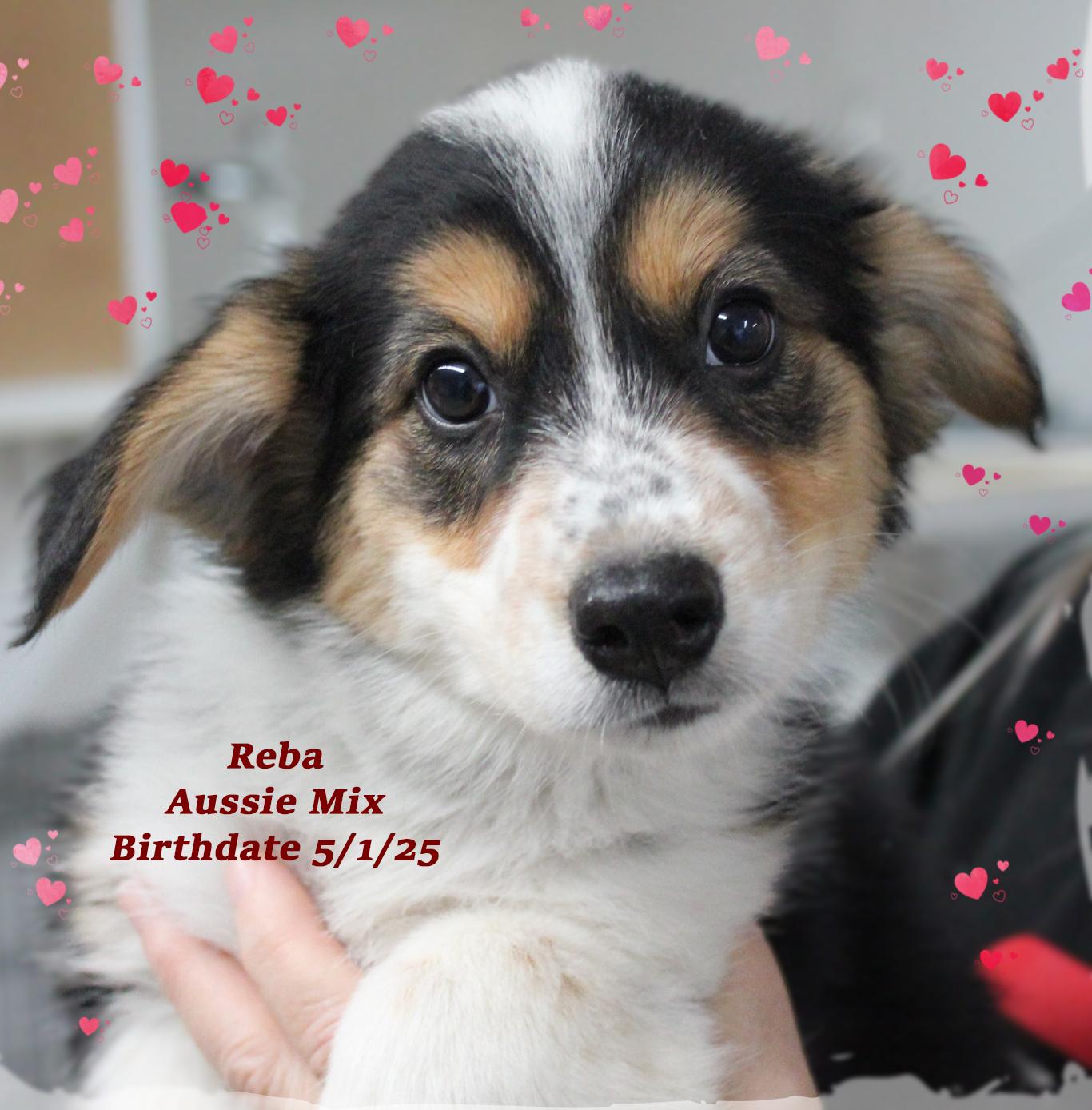 Reba, Baby Female unknown