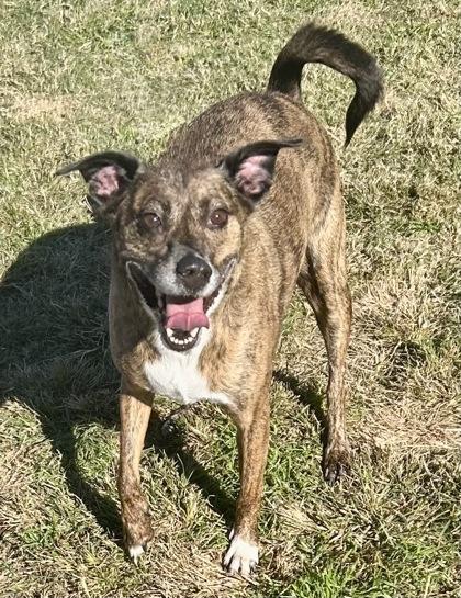 Buddy — thumbnail 2