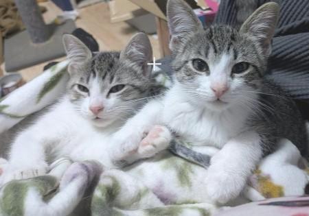 Luke and Leia