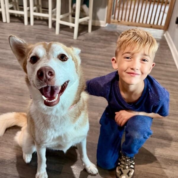 Daphne Lovelight Supreme — thumbnail 2