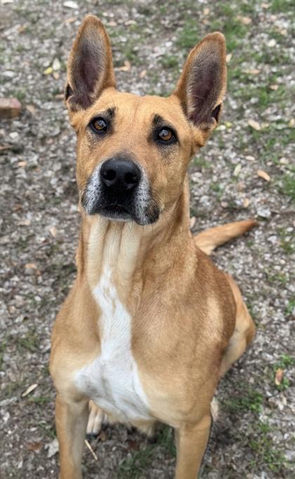 Luciana — thumbnail 2