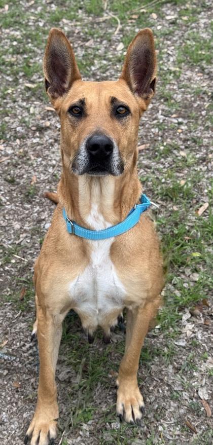 Luciana — thumbnail 3