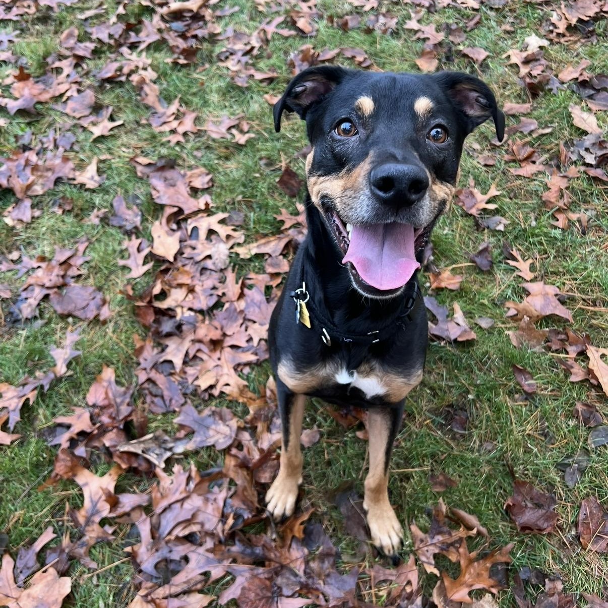 Oscar Courtesty Post thumbnail 4