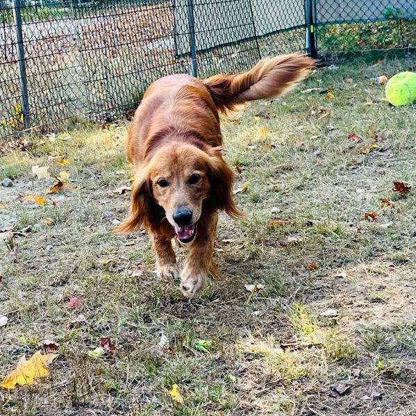 Charlie-Available Soon! photo