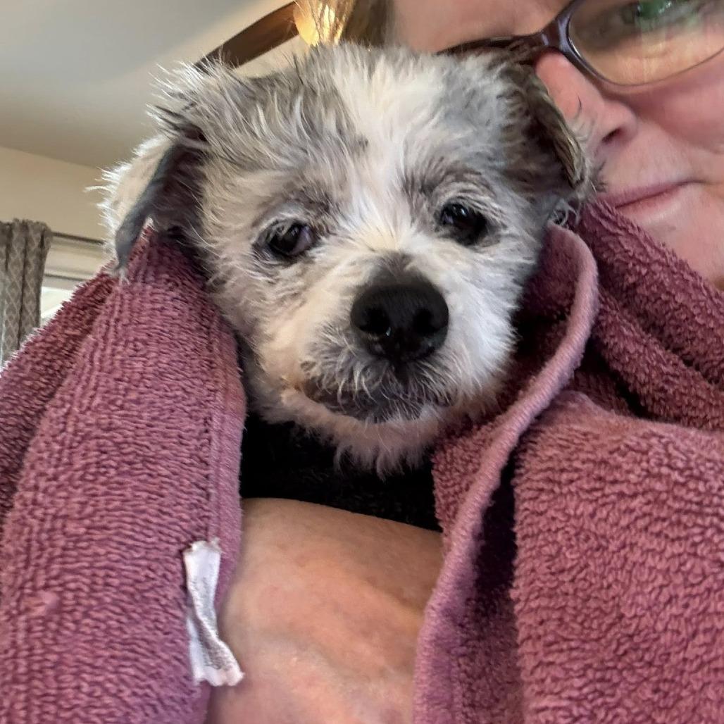 Agatha — thumbnail 2