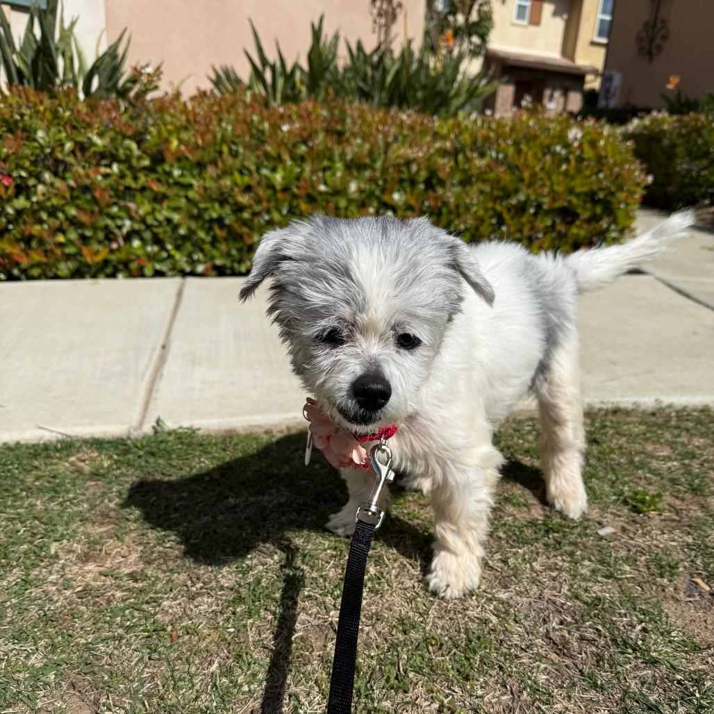 Agatha — thumbnail 6