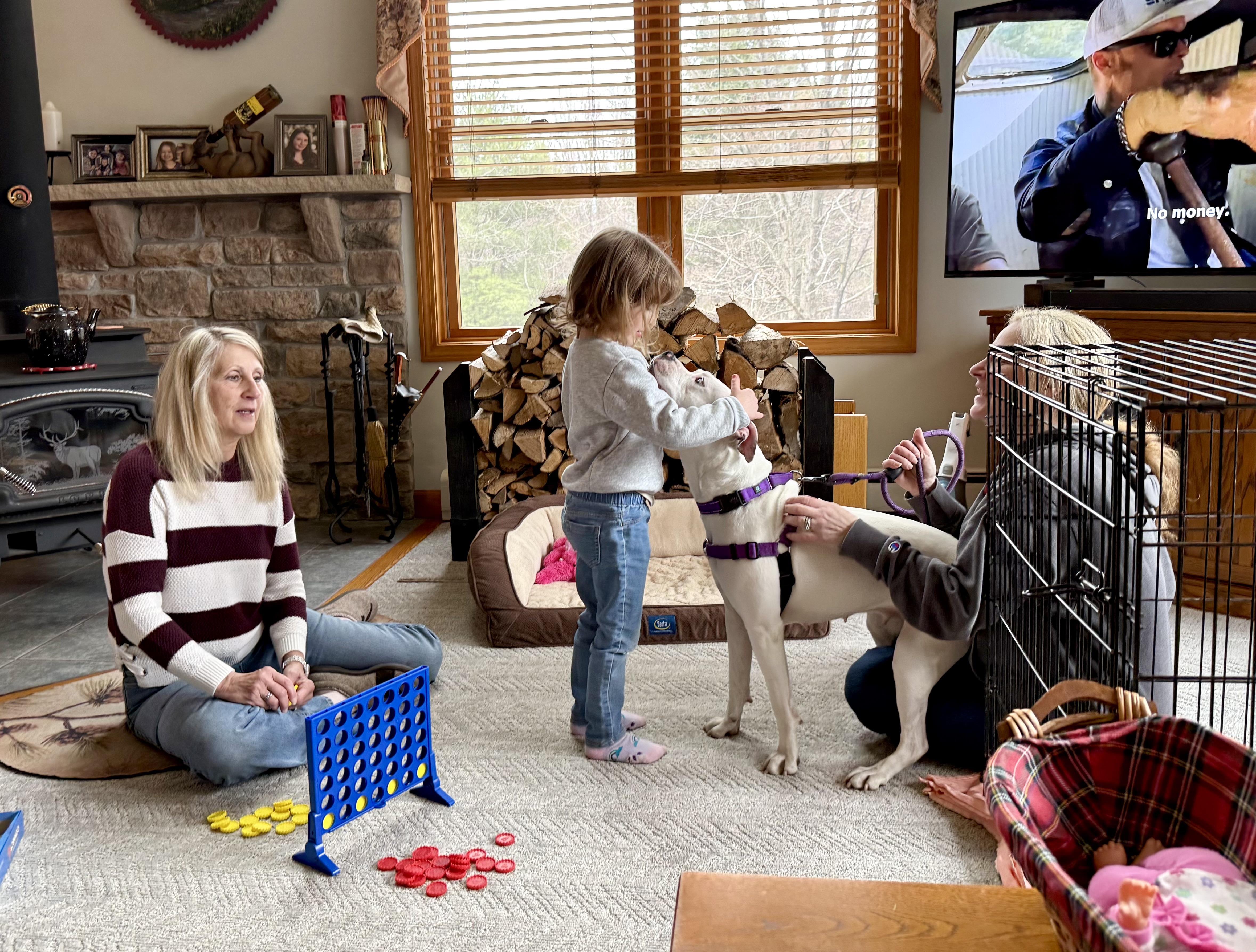 Enlarge Luna, an adopted mixed breed in Cohoes, NY image 5/6