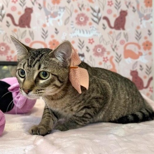 Pinky Gonzalez — thumbnail 4