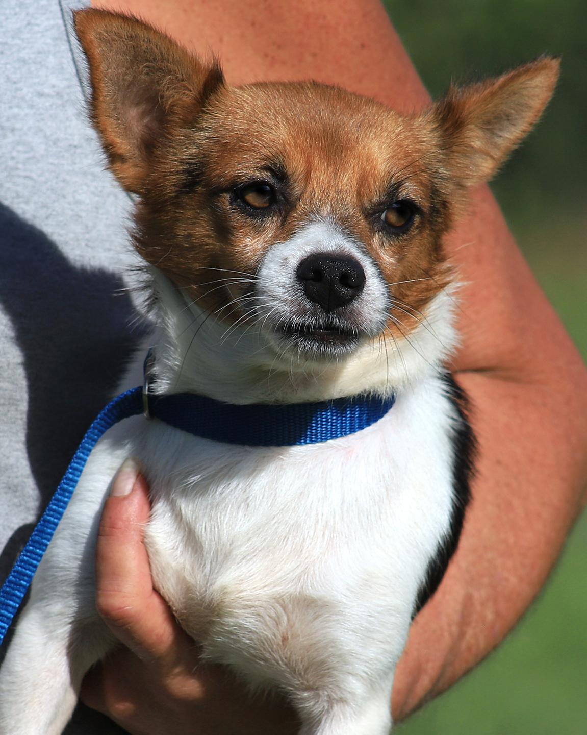 Rigby photo 1
