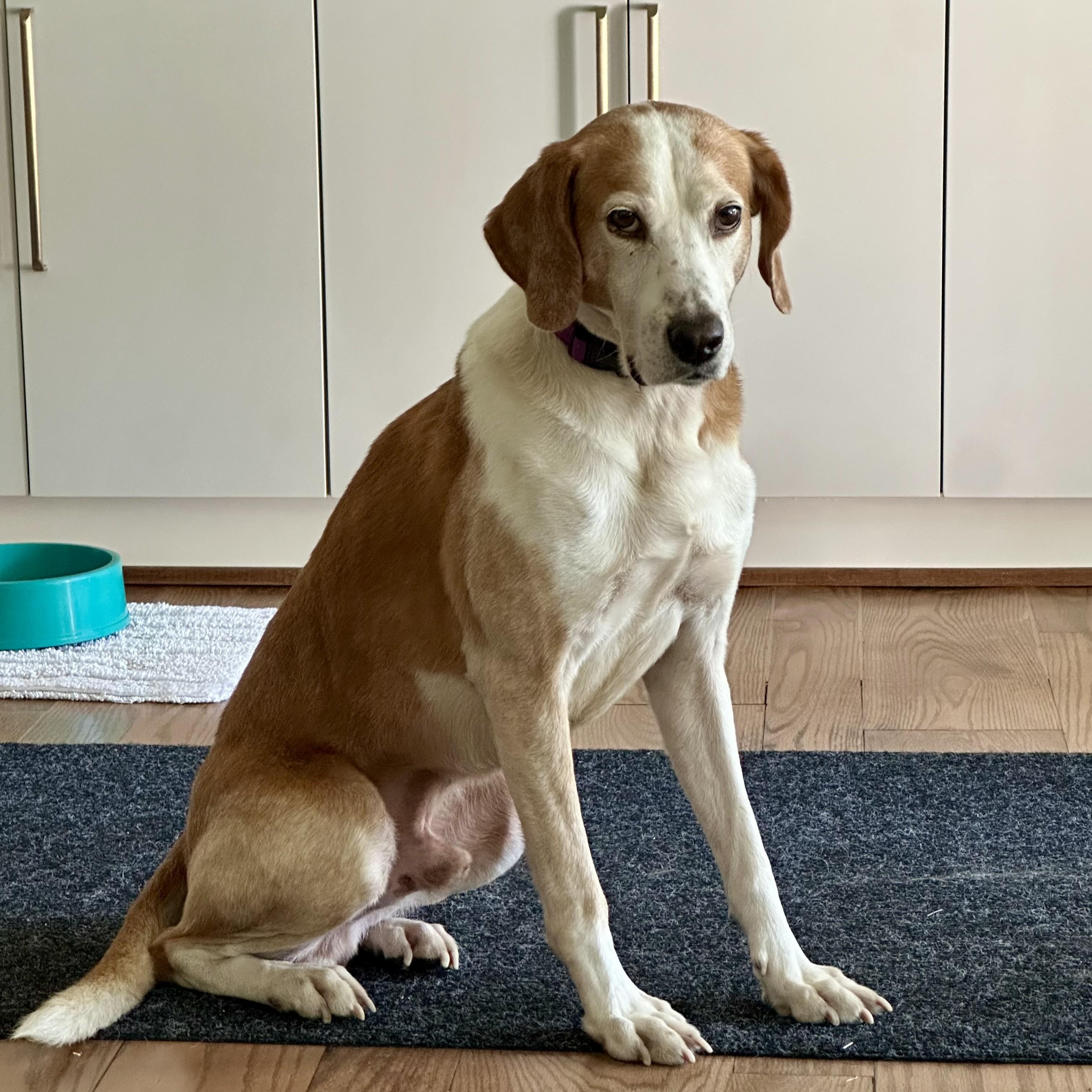 Jackson — thumbnail 6