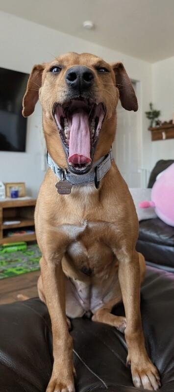 Kaykay Babay Petite Princess — thumbnail 3