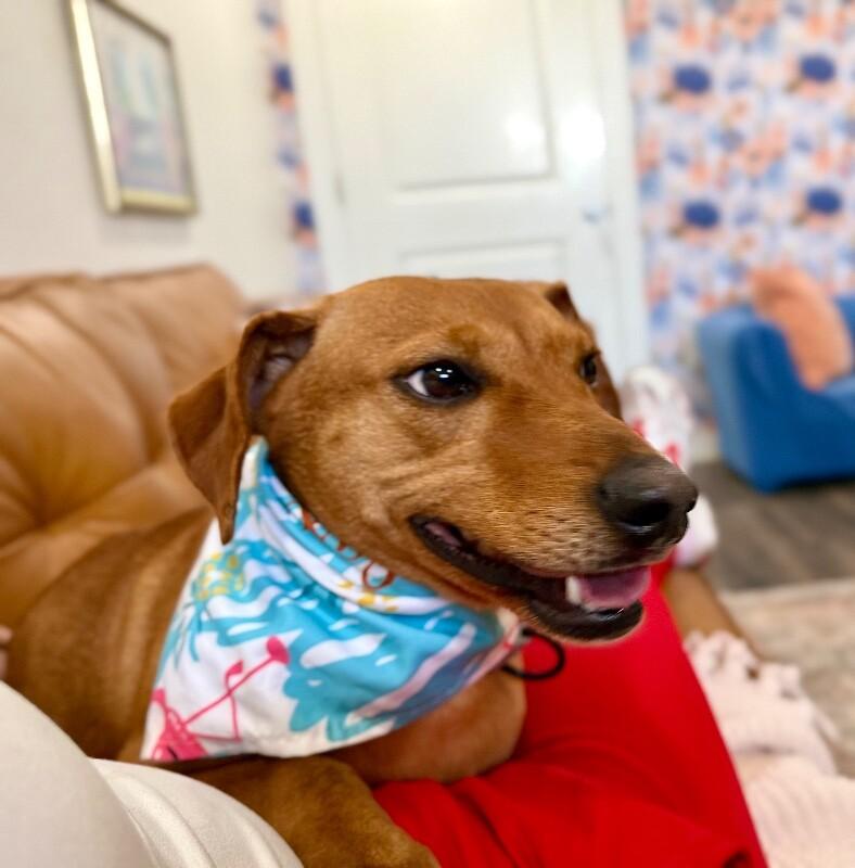 Kaykay Babay Petite Princess — thumbnail 4