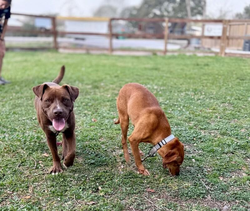 Kaykay Babay Petite Princess — thumbnail 5