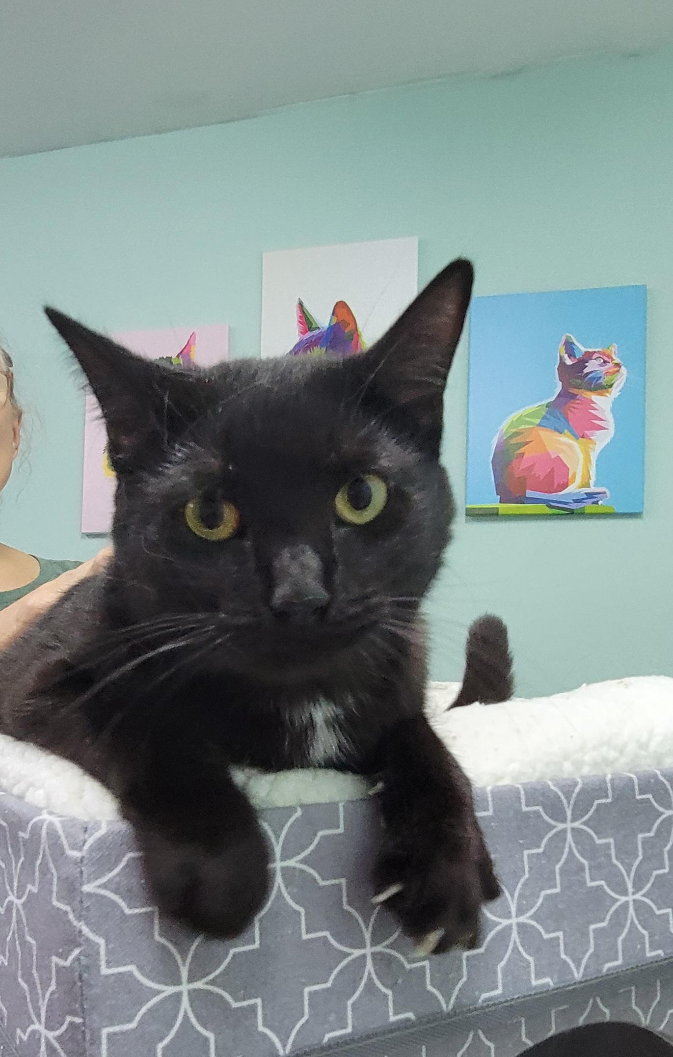 Aurora - My sister Hazel is also listed