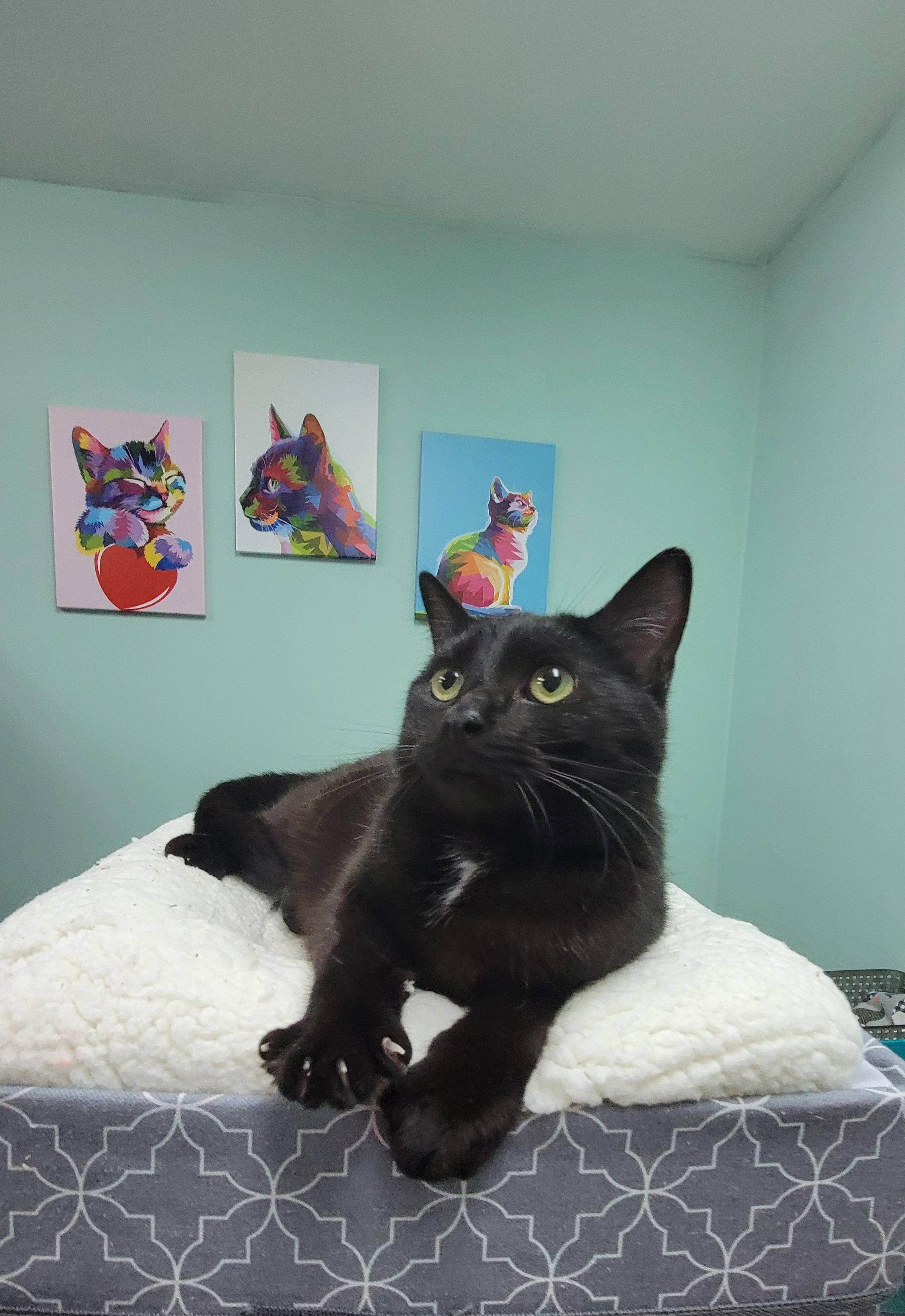 Aurora - My sister Hazel is also listed