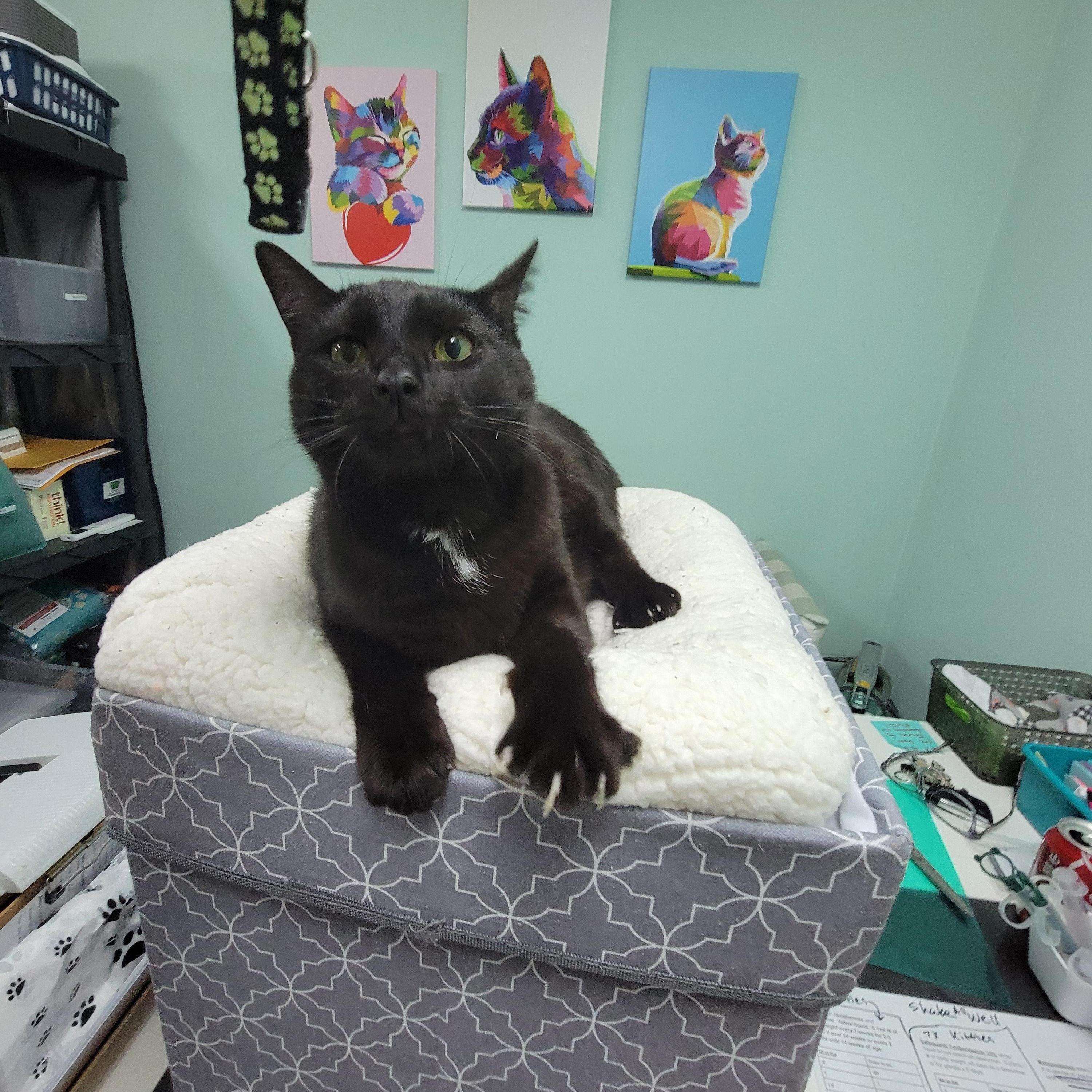 Aurora - My sister Hazel is also listed