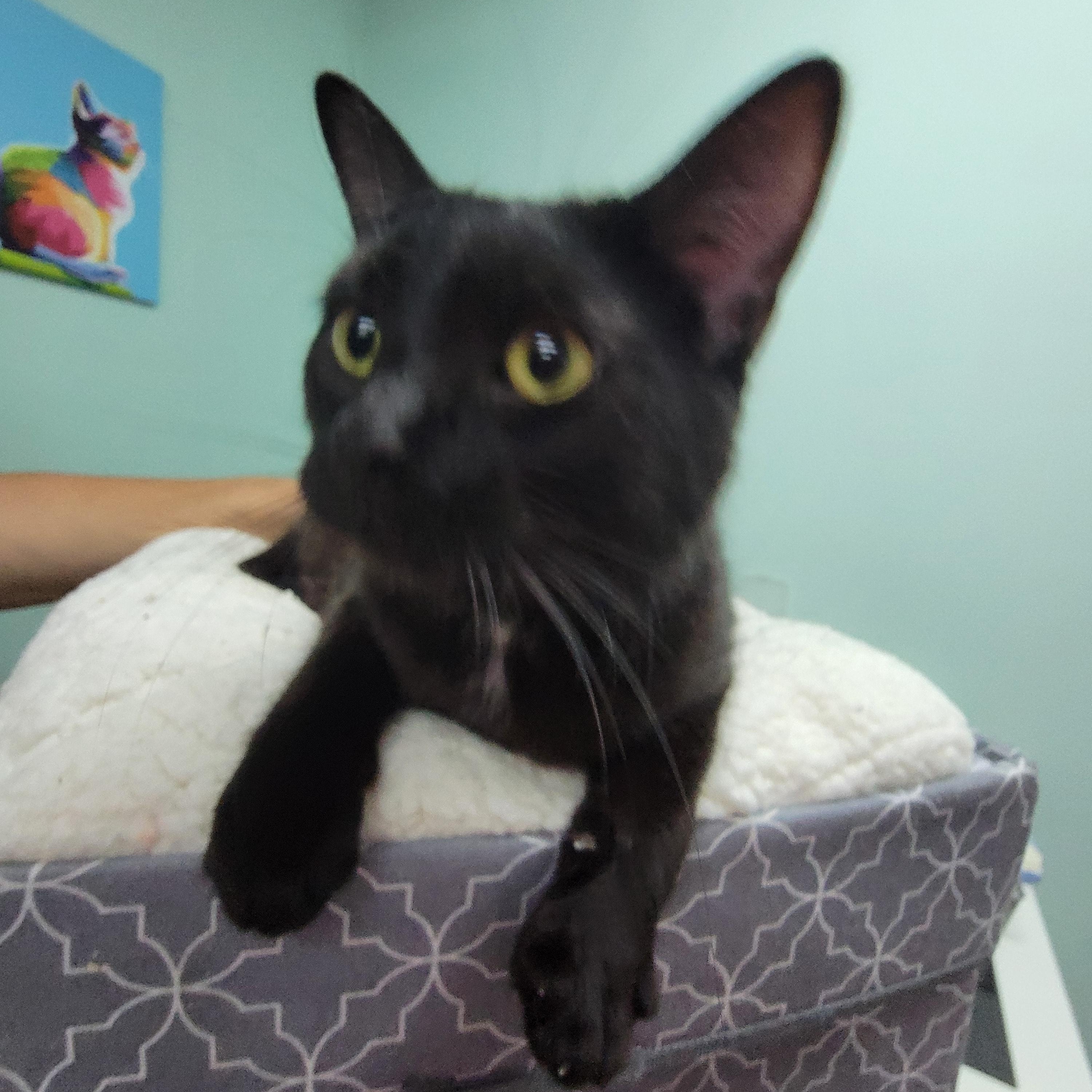 Aurora - My sister Hazel is also listed