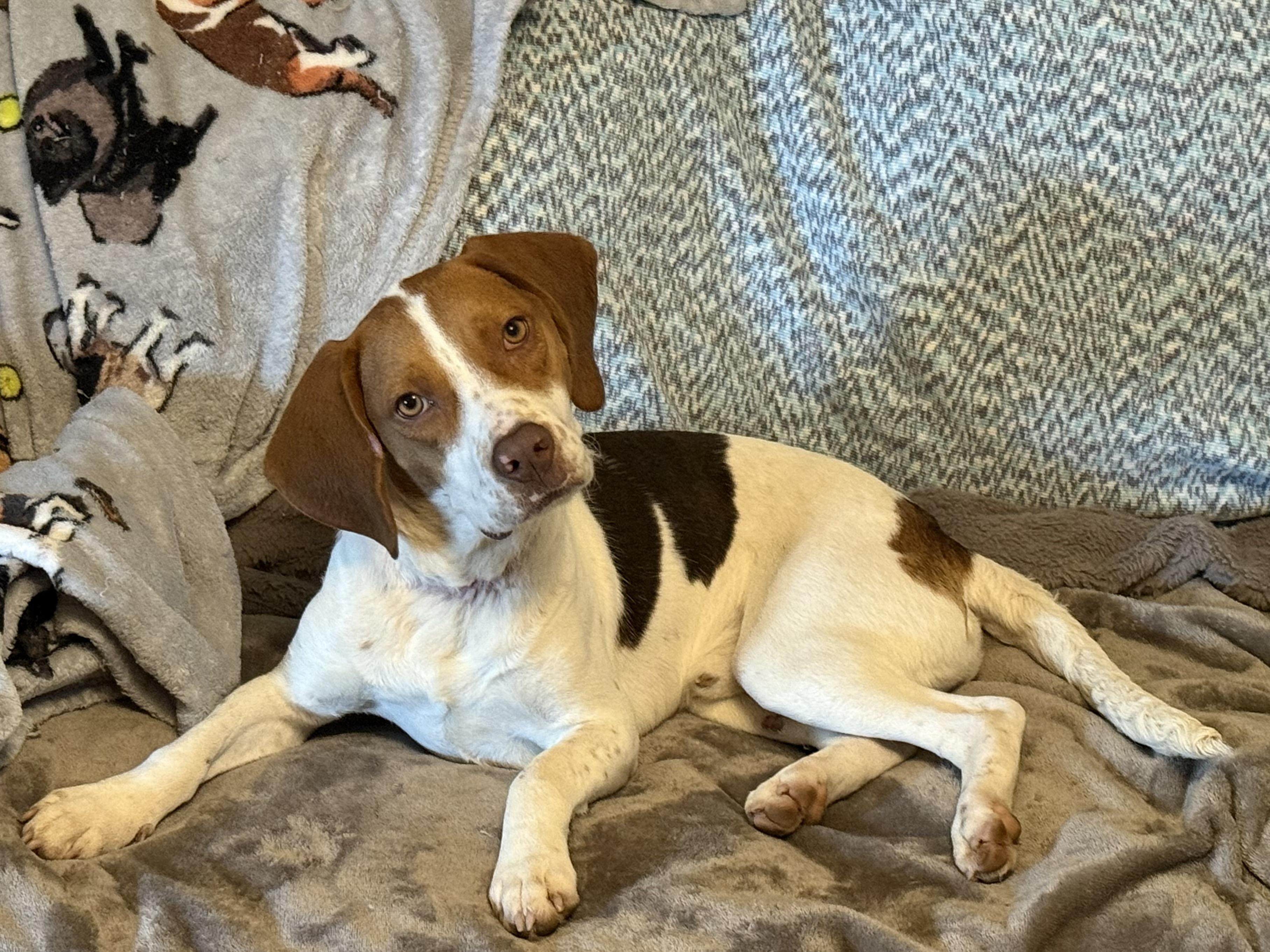 Charlie