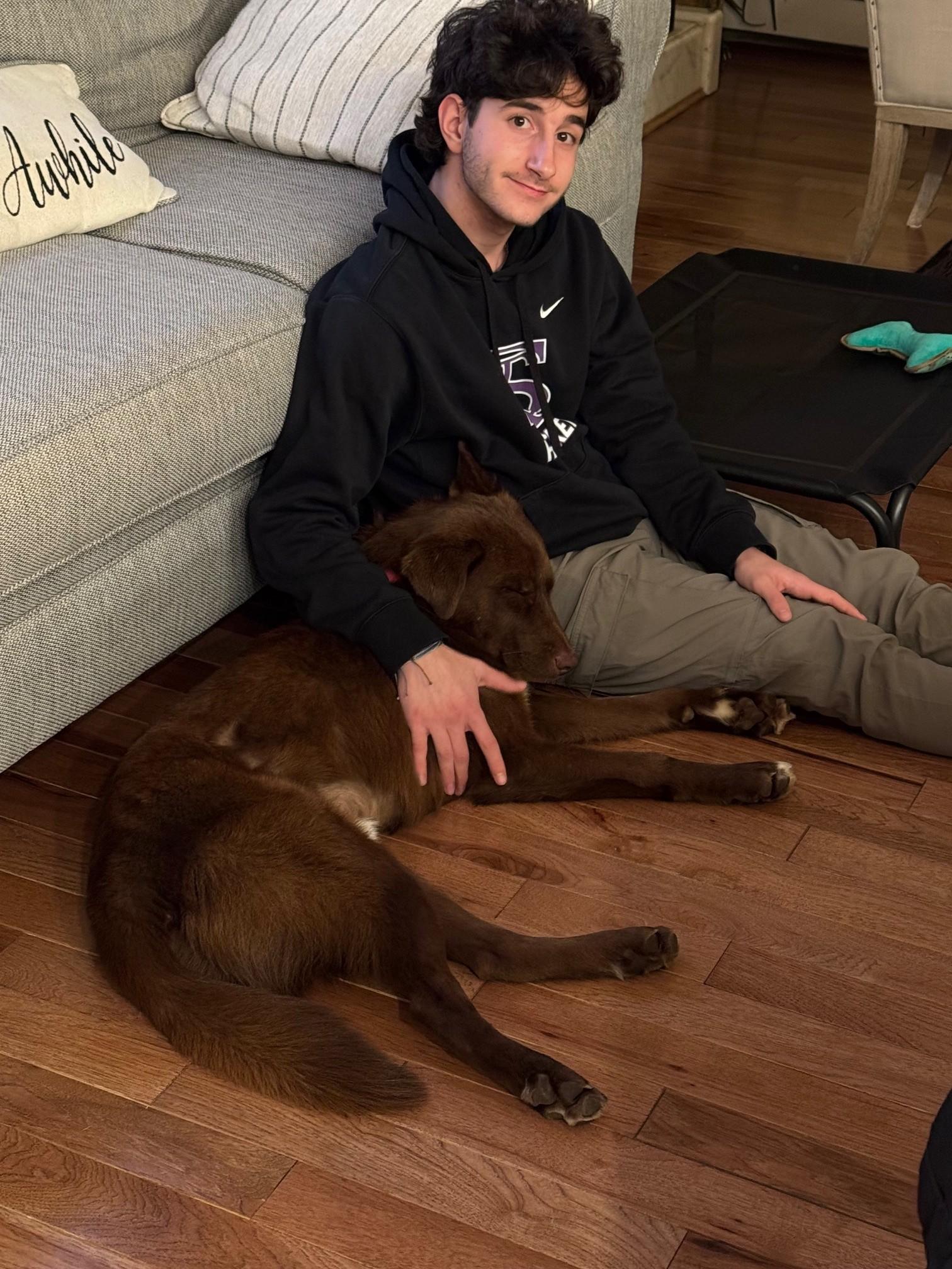 Enlarge Arlo ~ Local Guy, an adopted mixed breed in Andover, MA image 3/6