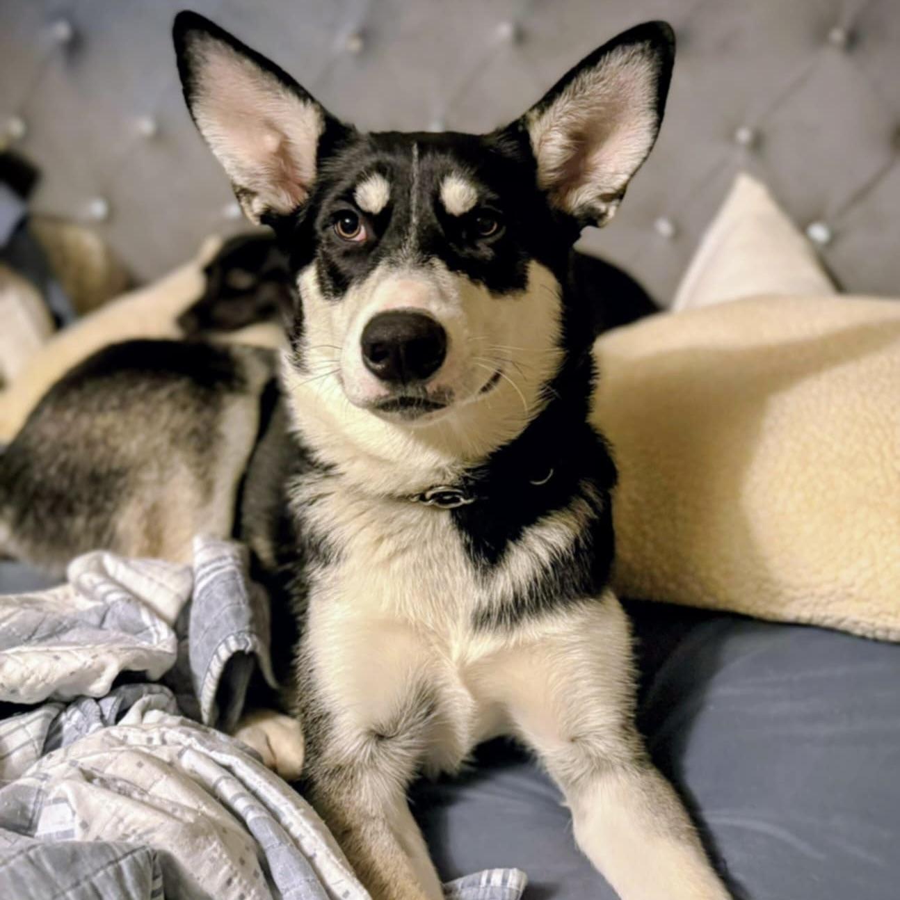 Maskawi (20250702-04)