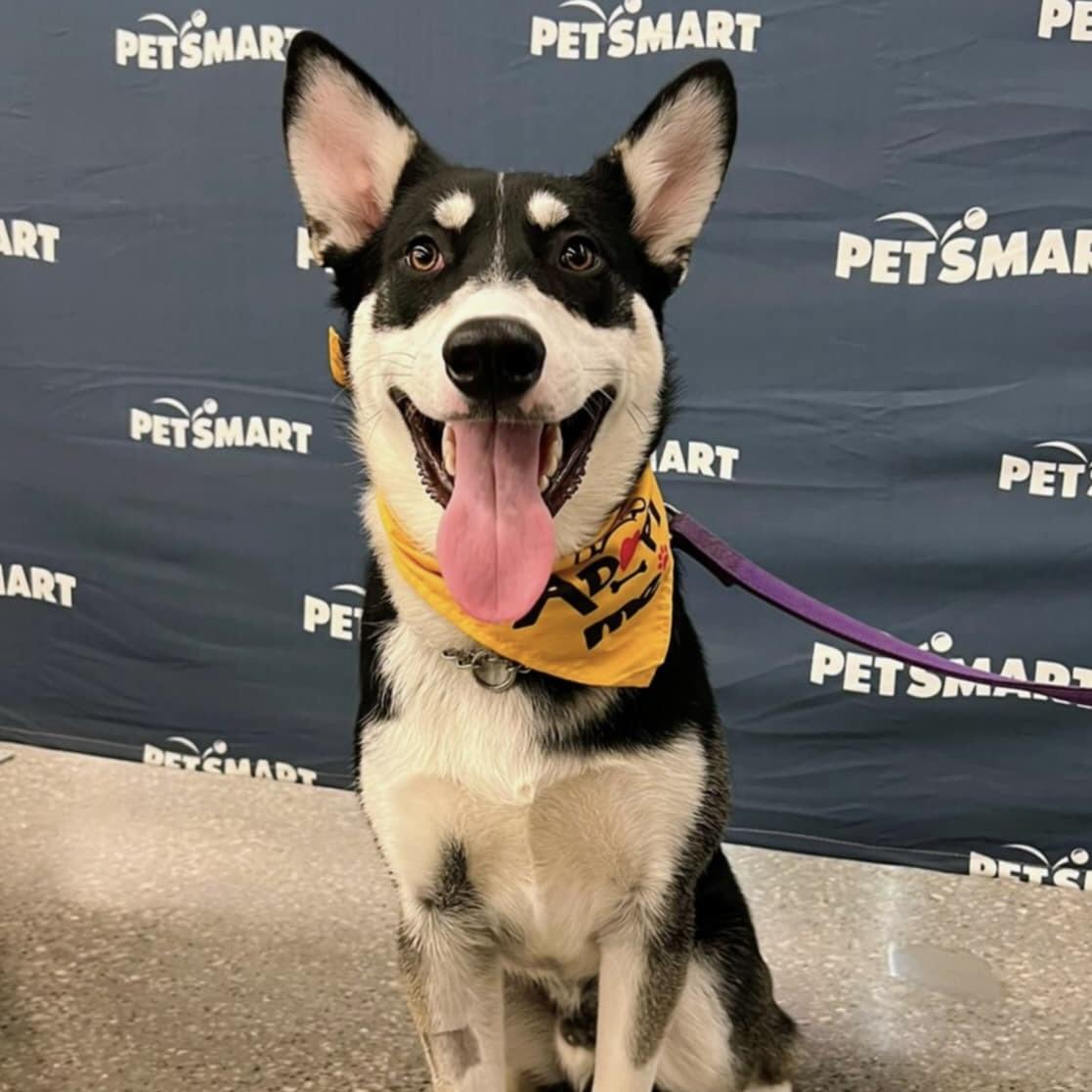 Maskawi (20250702-04) — thumbnail 4