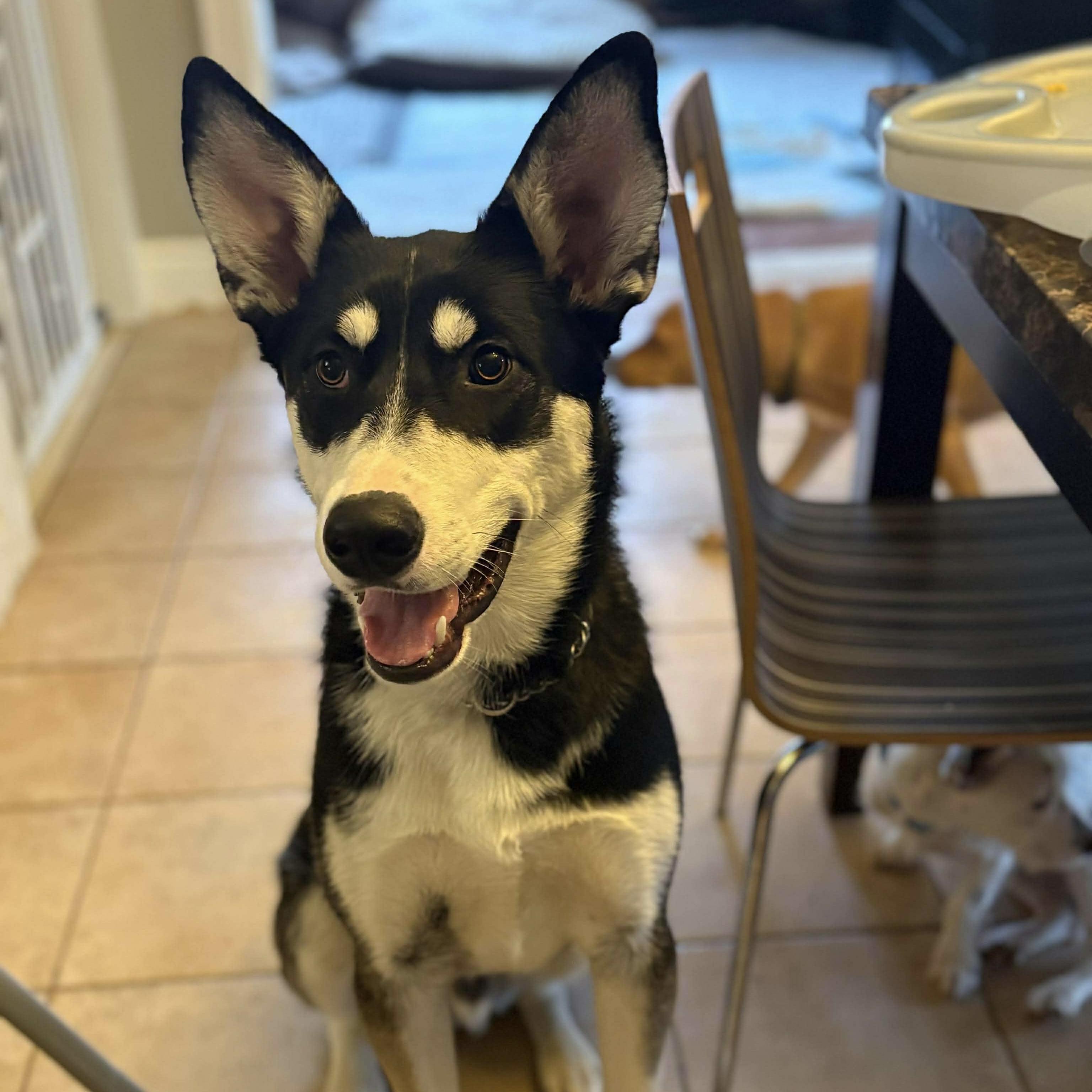 Maskawi (20250702-04) — thumbnail 5