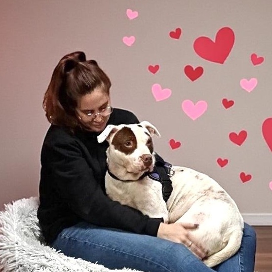 Enlarge Apache Ask to Meet!! GCI Trained Graduate!!, an adoptable Mixed Breed in Elyria, OH image 1/6