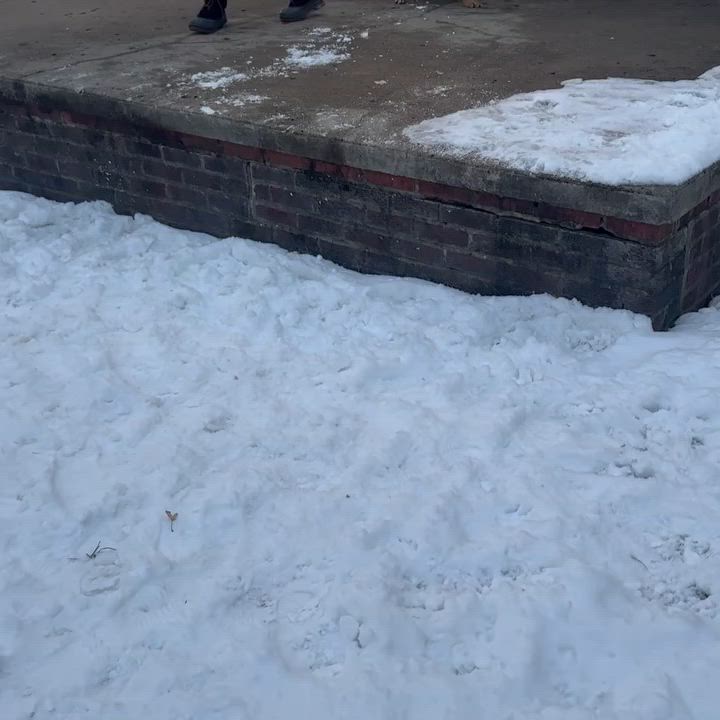 Enlarge Gertrude, an adopted mixed breed in Detroit, MI video 2/3