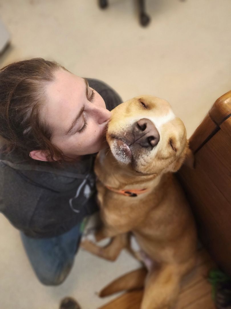 Enlarge RUDY, a Adoptable mixed breed in TULSA, OK image 14/14