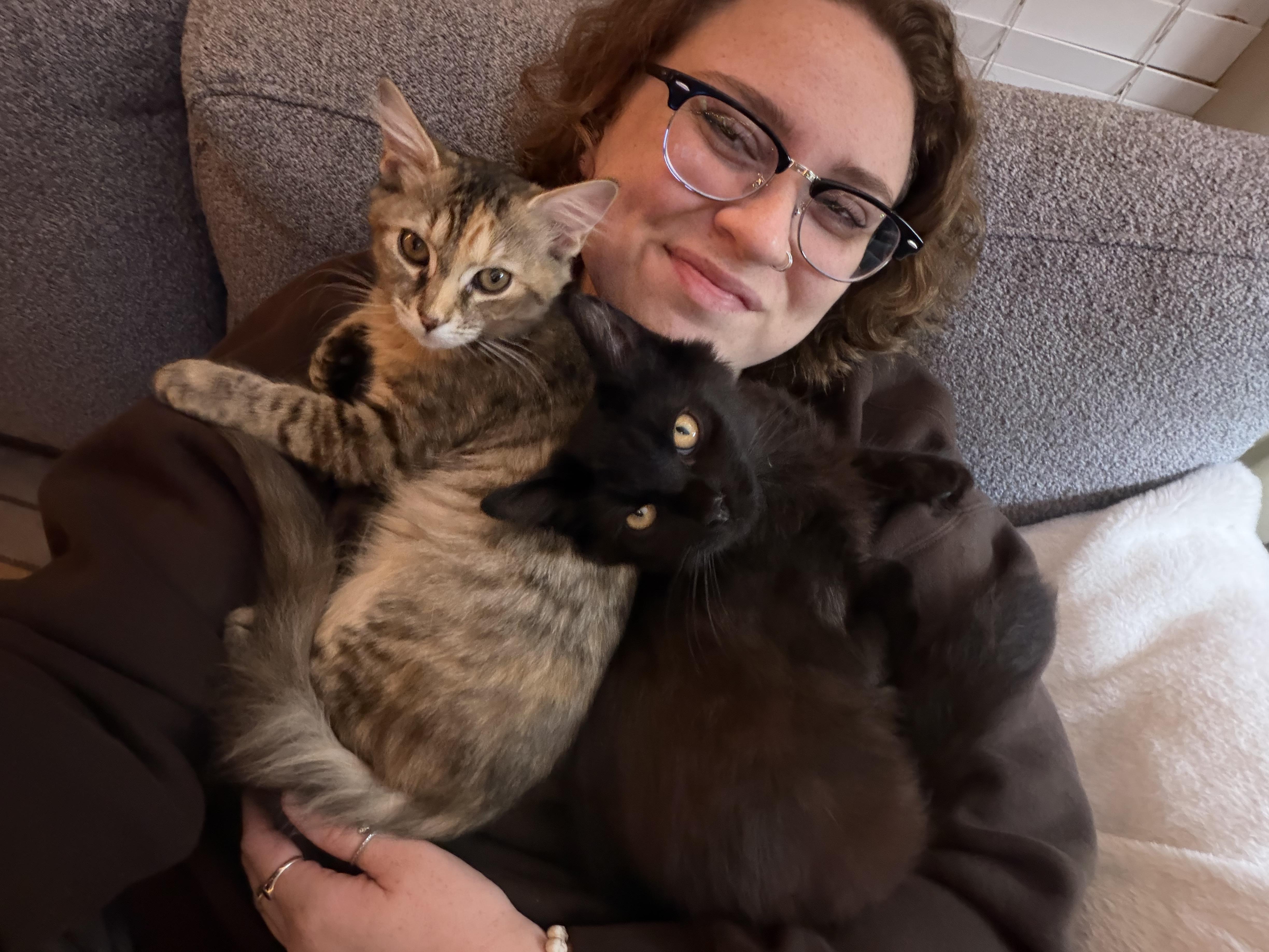 Enlarge Boogie, a ADOPTABLE mixed breed in Columbus, OH image 3/6