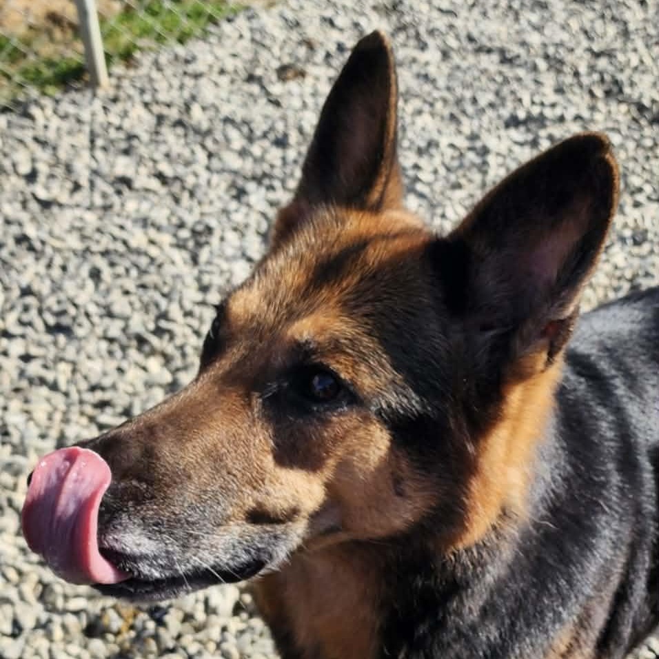 Ellie — thumbnail 3