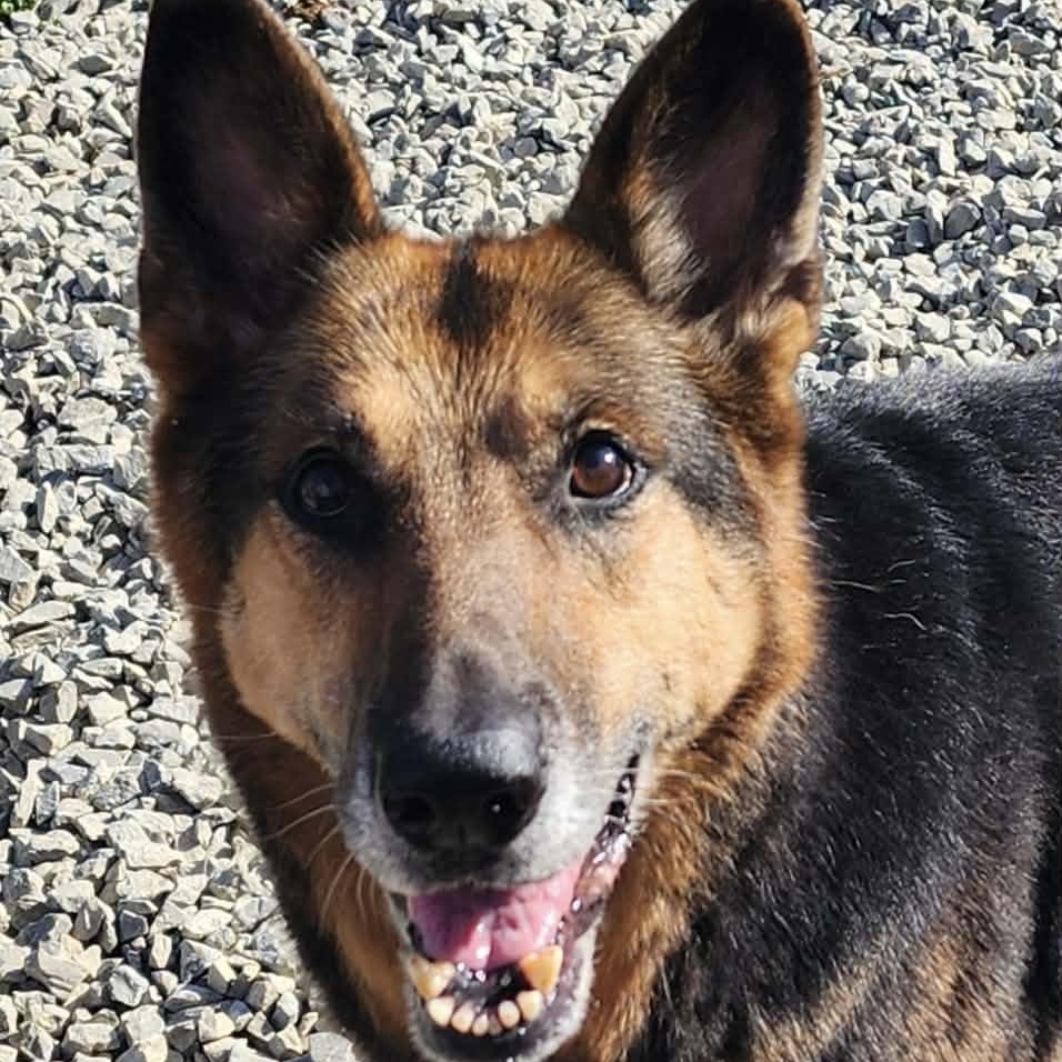 Ellie — thumbnail 5