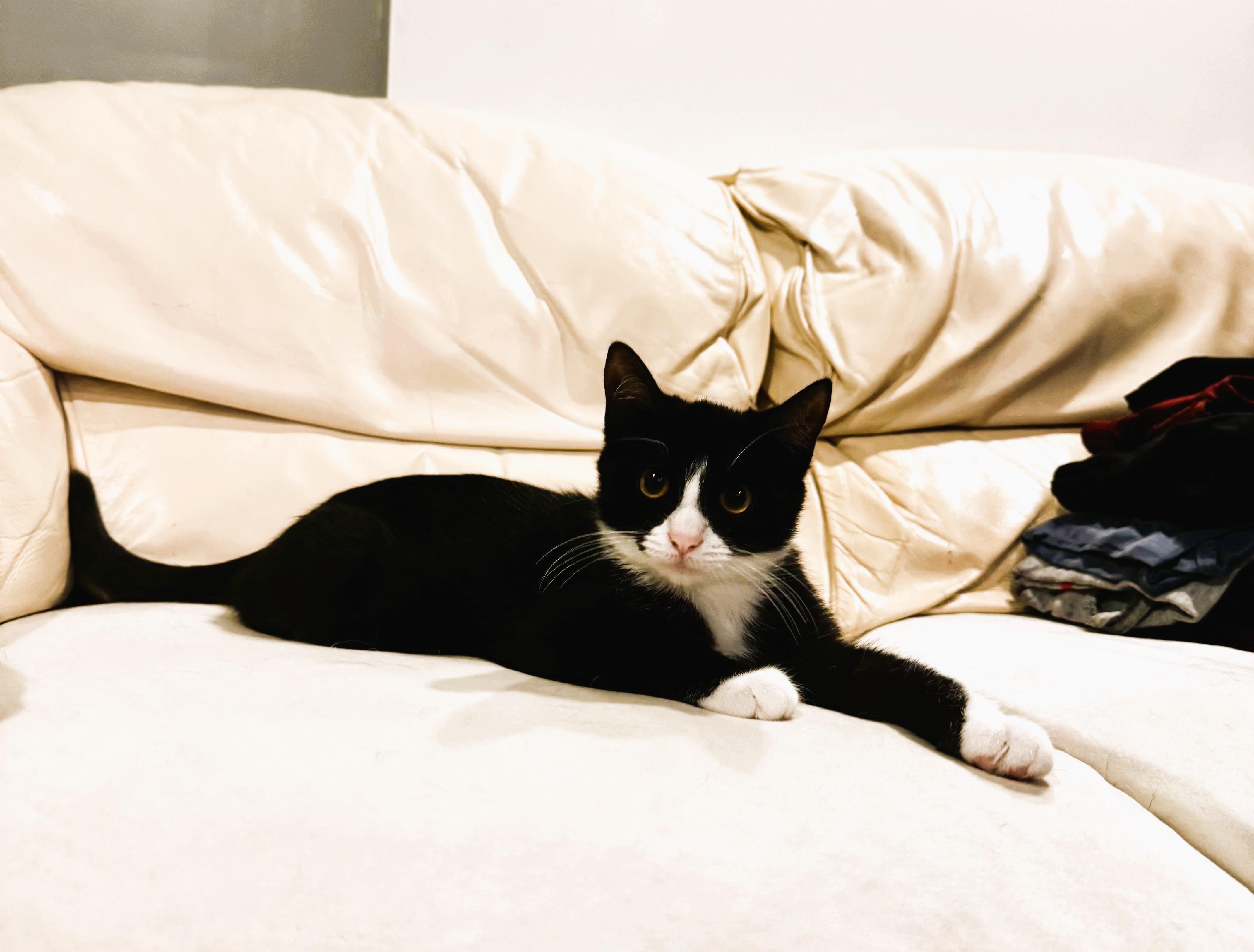 Little Baba