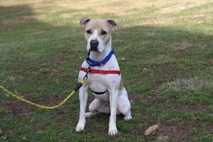 Leiliana — thumbnail 2