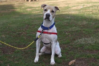 Leiliana — thumbnail 3