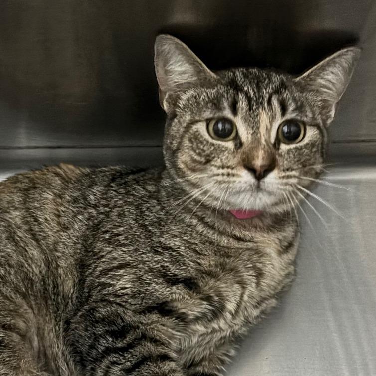 Maya — thumbnail 2