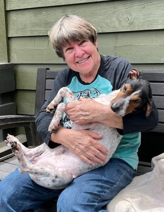 Ira, a Adoptable mixed breed in Sylva, NC image 3/5