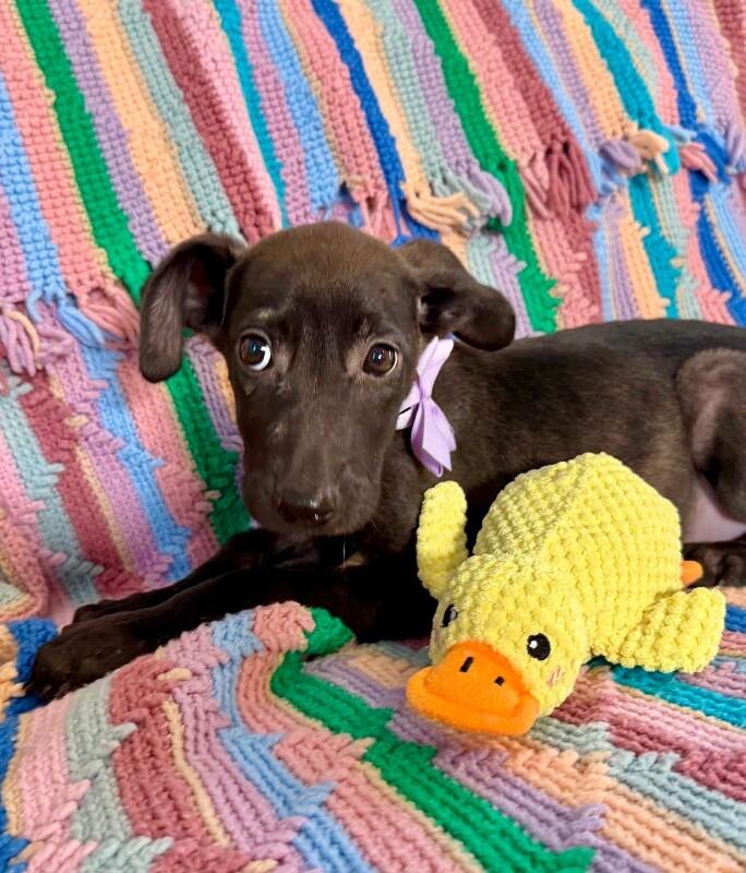 Milky Way Candy Bar 5