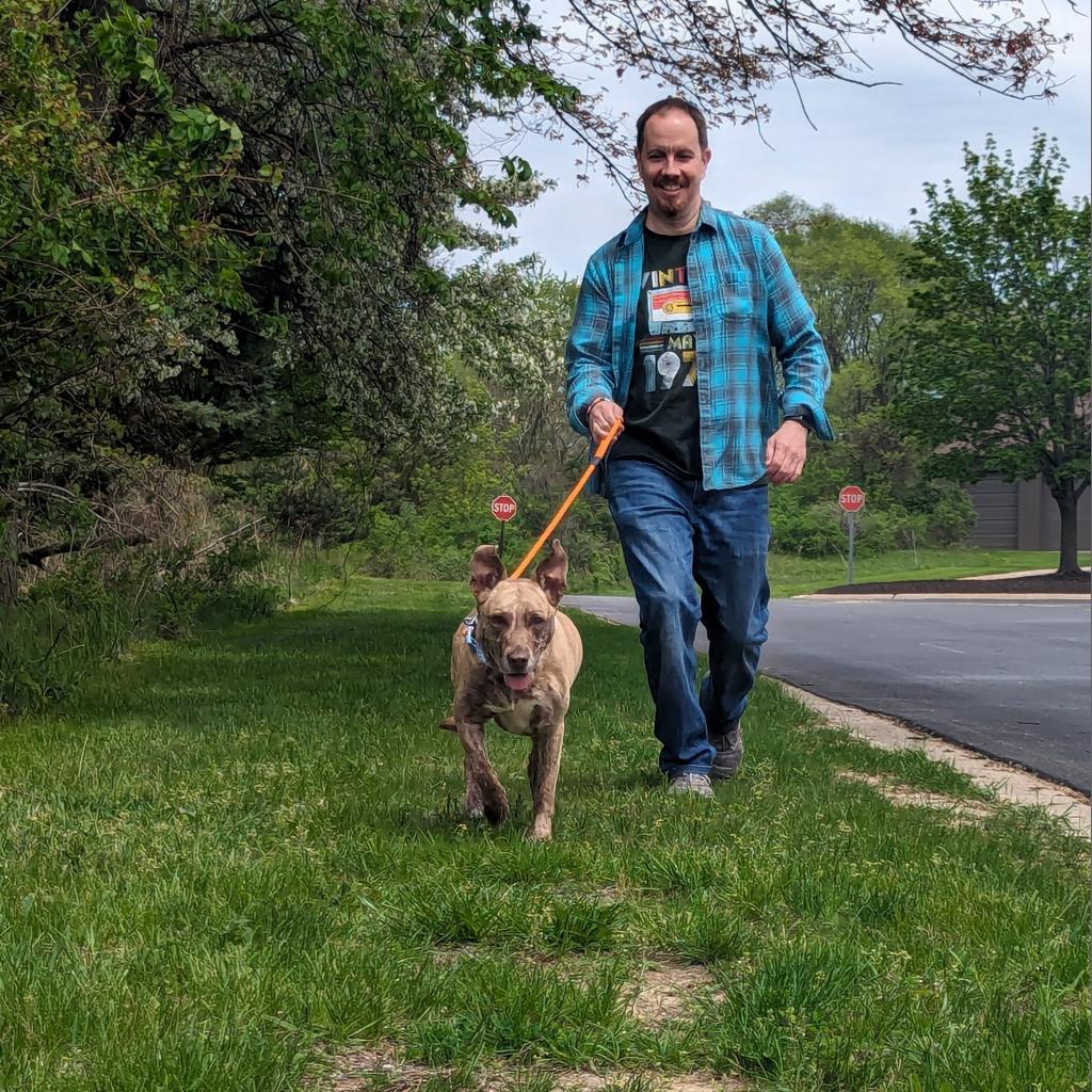 Enlarge Dixie Loo, a Adoptable Mixed Breed in Grand Rapids, MI image 3/6