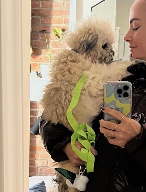 Cookie, a ADOPTABLE mixed breed in Brooklyn, NY image 4/6