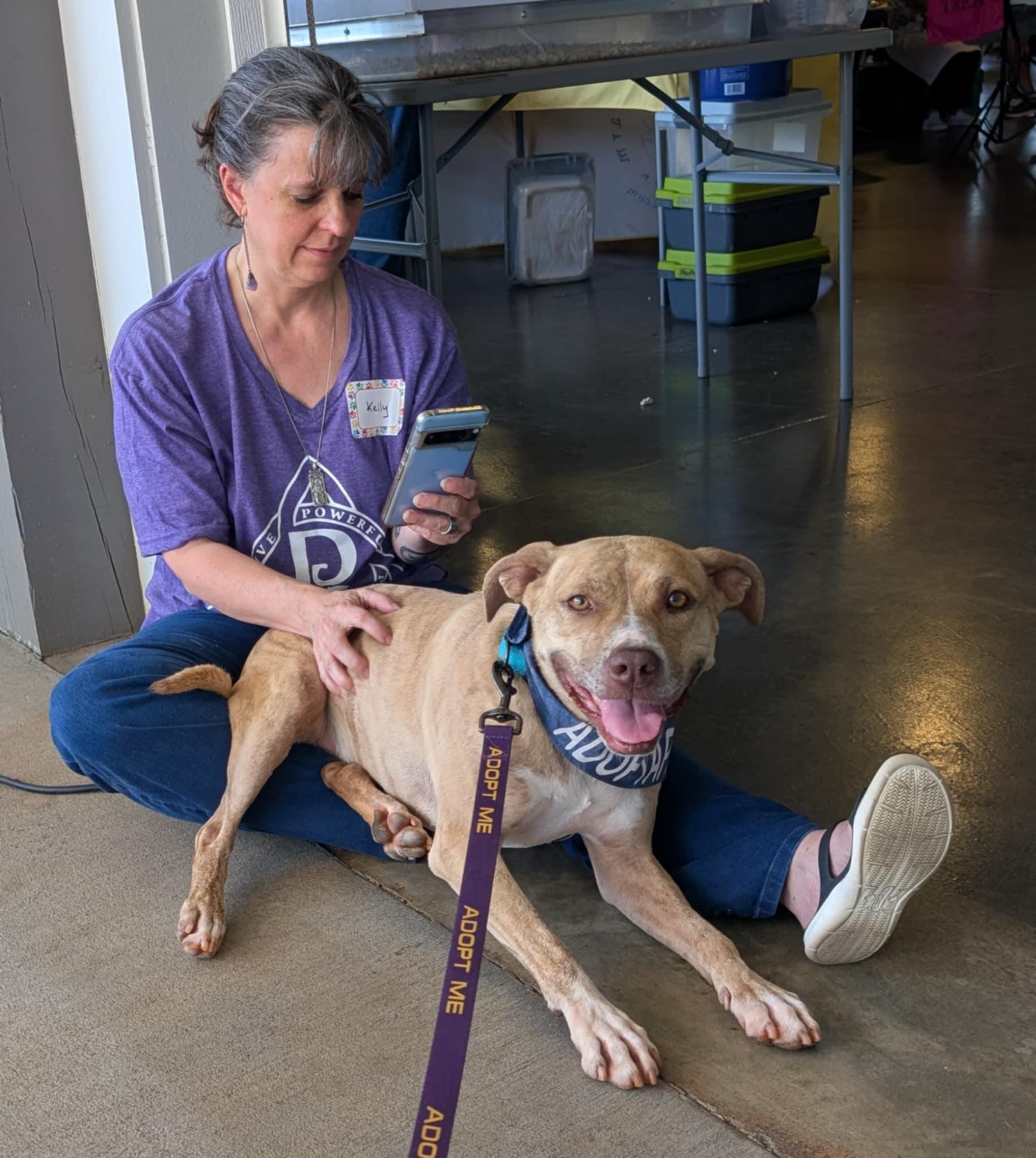 Enlarge Cece, a Adoptable mixed breed in Landrum, SC image 4/6