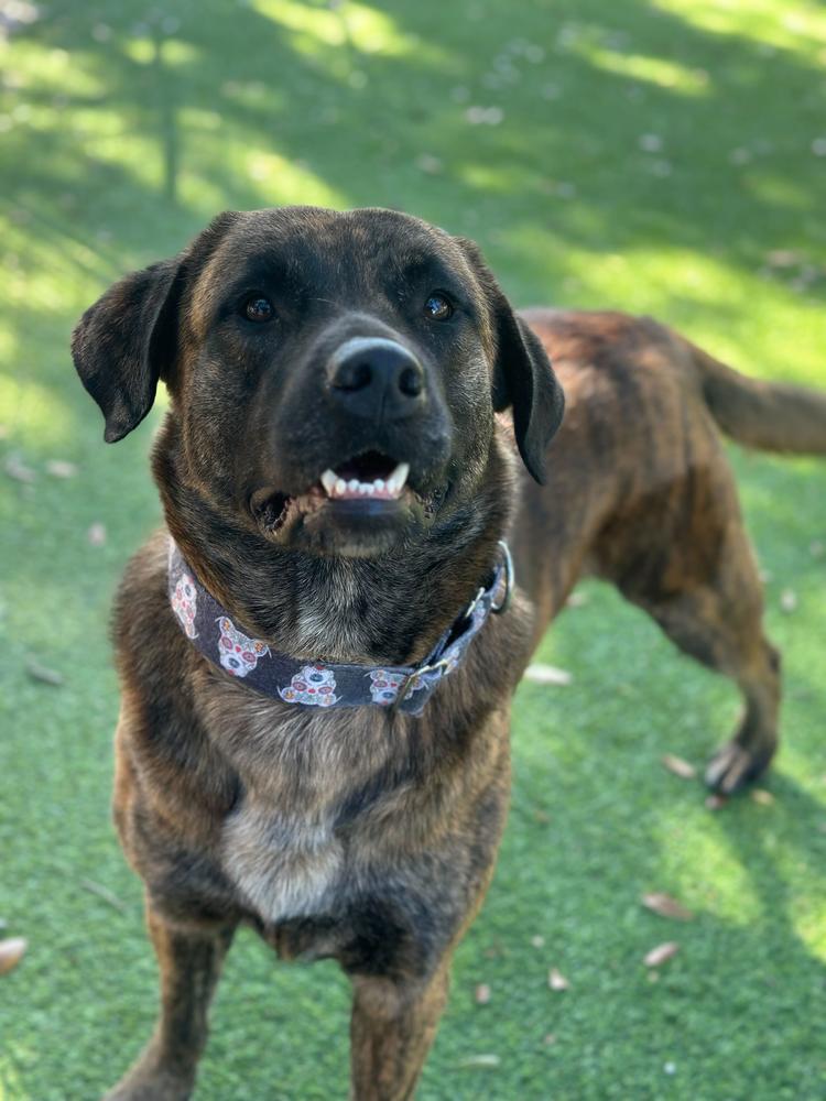 Miss. Mank thumbnail 2