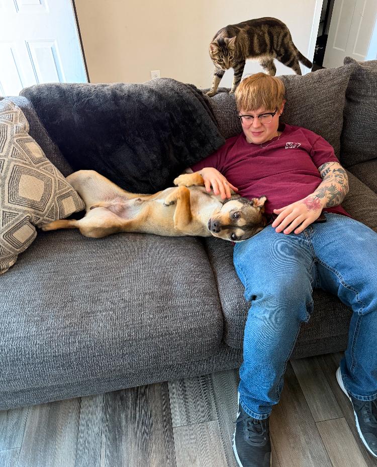 Enlarge Dave, a ADOPTABLE mixed breed in Darien, GA image 4/6