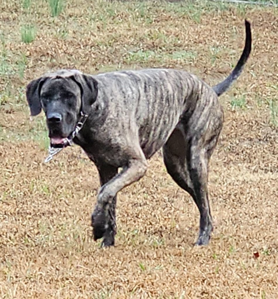 Luna