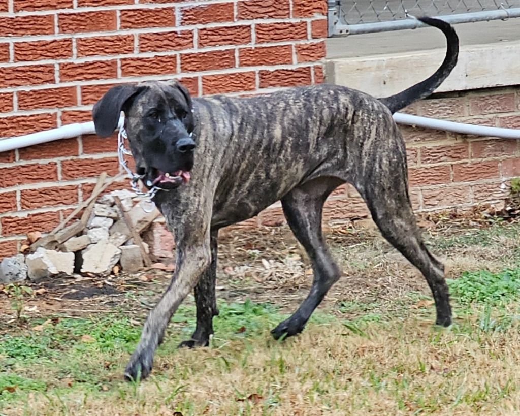 Luna photo 3