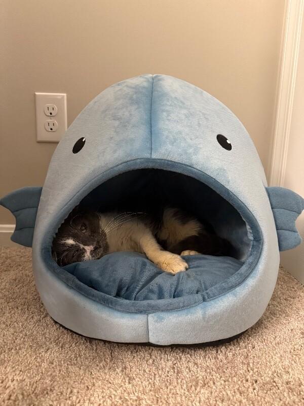 Gunnar — thumbnail 3